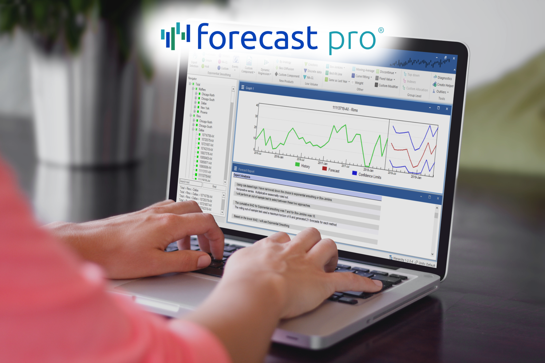 Forecast Pro Exponential Smoothing on Computer Screen